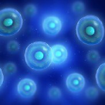 Stem Cell Therapy