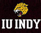 IU Indy